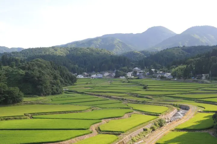 出身地が似ている